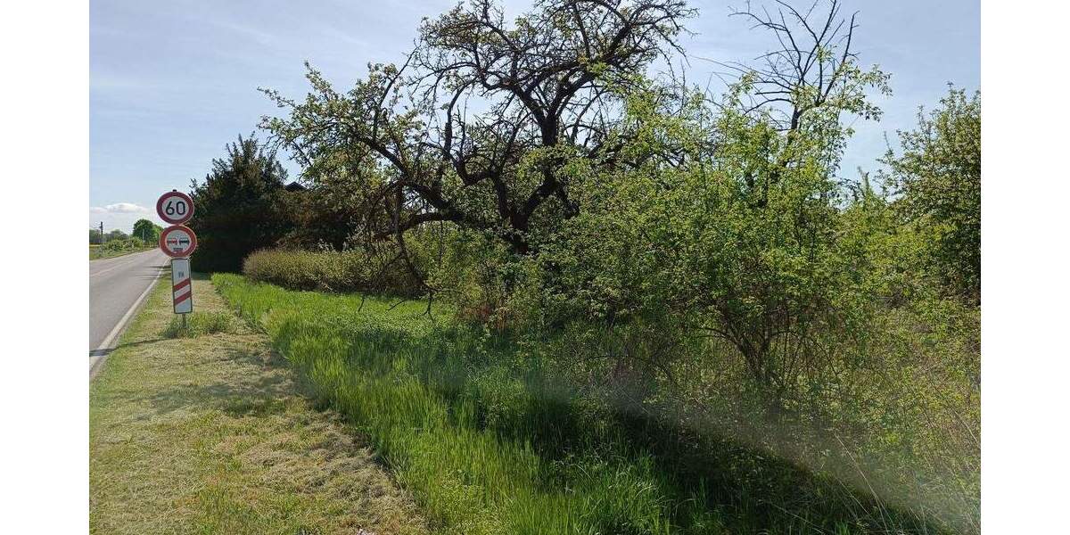 Grundstück Bismark OT Meßdorf Bismark - 5.500&euro; | Angebot:25958475