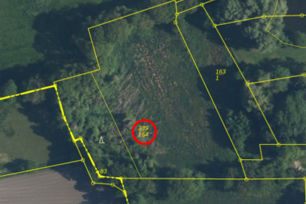 Bieterverfahren: 0,7 ha Landwirtschaftsfläche in Westoverledingen zimmer