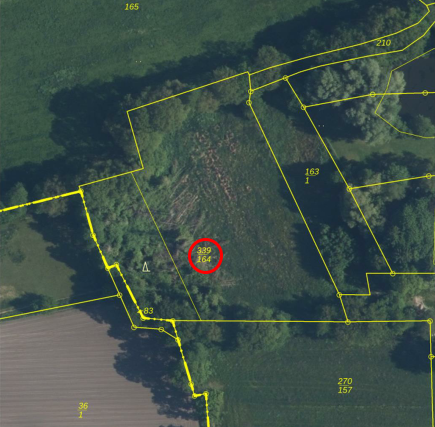 Bieterverfahren: 0,7 ha Landwirtschaftsfläche in Westoverledingen zimmer