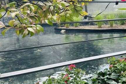 Haus zum Mieten in Düsseldorf 2.580 € 125 m² 3 zimmer