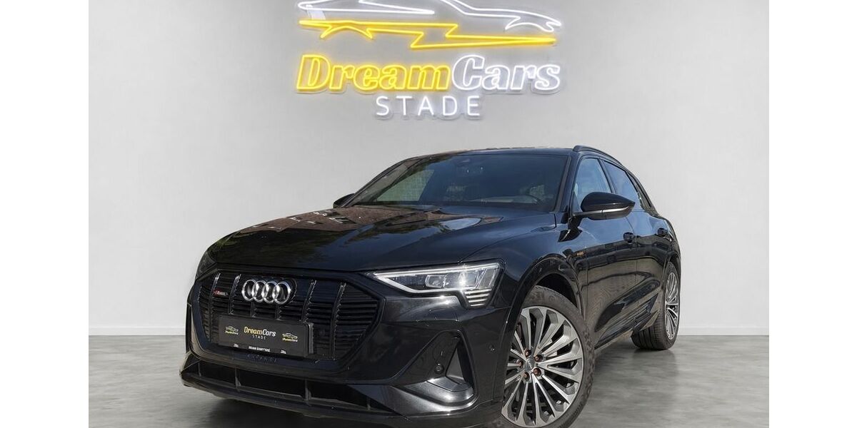 Audi e-tron 90.000 km 30.450 &euro; Agathenburg 21684