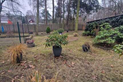 Grundstück Bad Düben - 15.000&euro; | Angebot:25546527