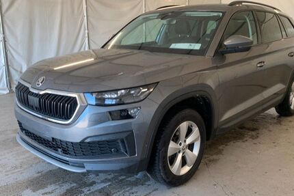 Skoda Kodiaq 149.000 km 24.450 &euro; Steinbach-Hallenberg OT Herges-Hallenberg 98587