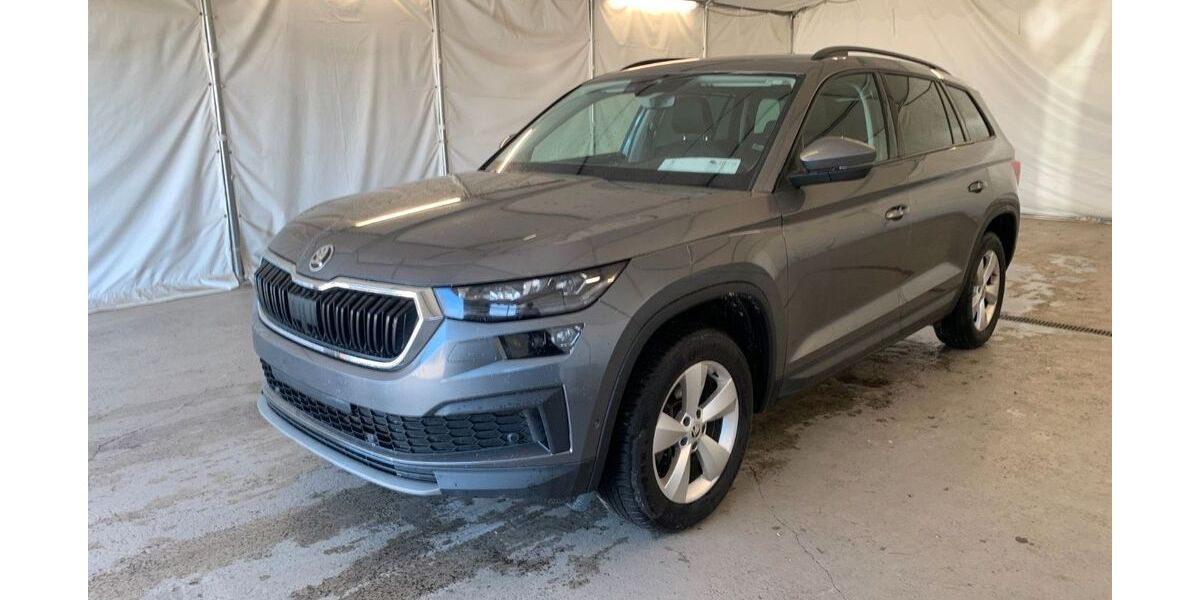 Skoda Kodiaq 149.000 km 24.450 &euro; Steinbach-Hallenberg OT Herges-Hallenberg 98587