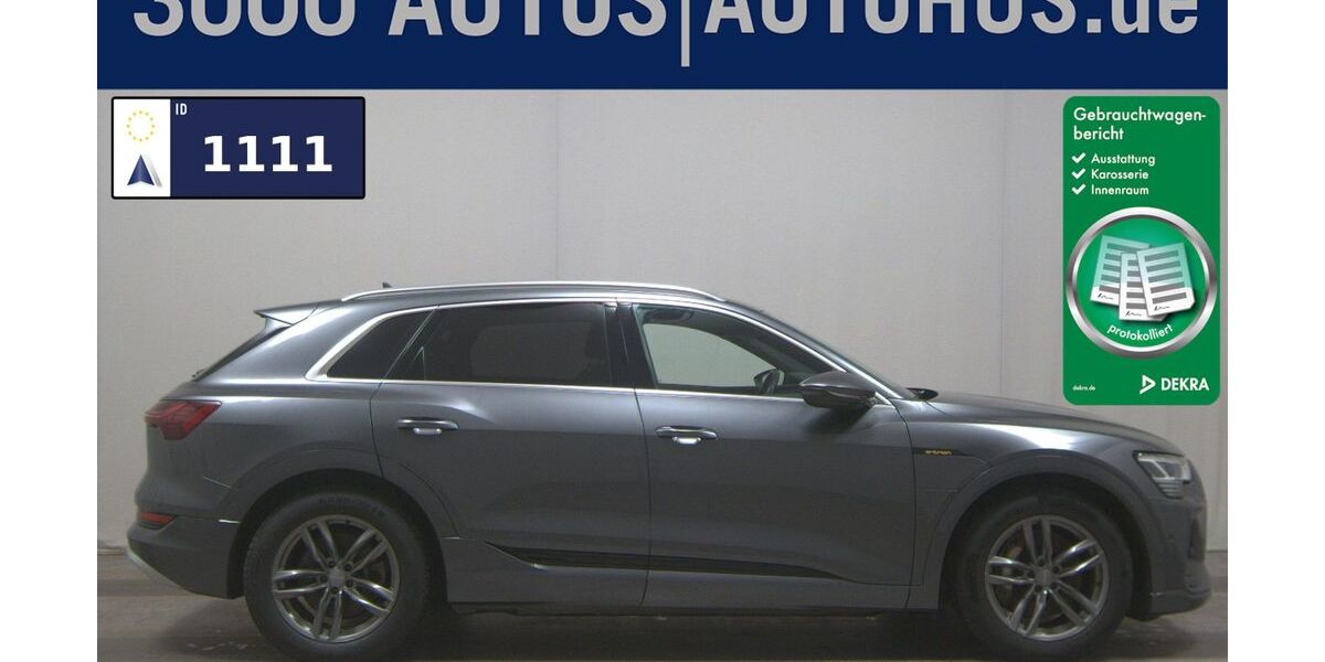 Audi e-tron 161.663 km 23.980 &euro; Gyhum/Bockel 27404