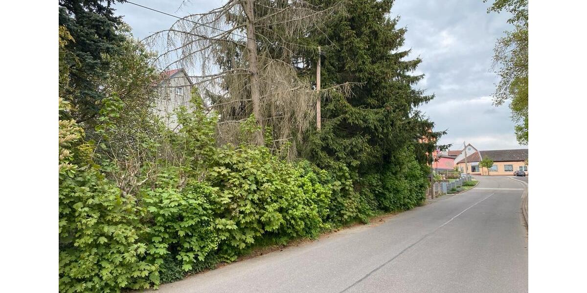 Grundstück Georgenthal - 27.500&euro; | Angebot:26459216
