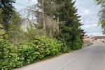 Grundstück Georgenthal - 27.500&euro; | Angebot:26459216