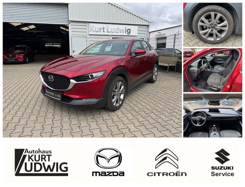 CX-30