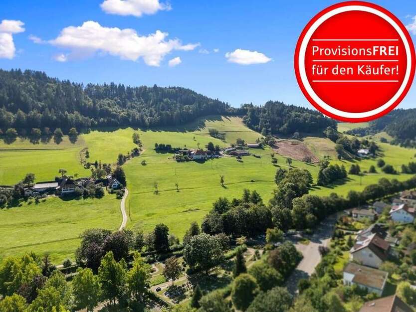 Wohnung zum Kaufen in Waldkirch 265.000 € 36.35 m²