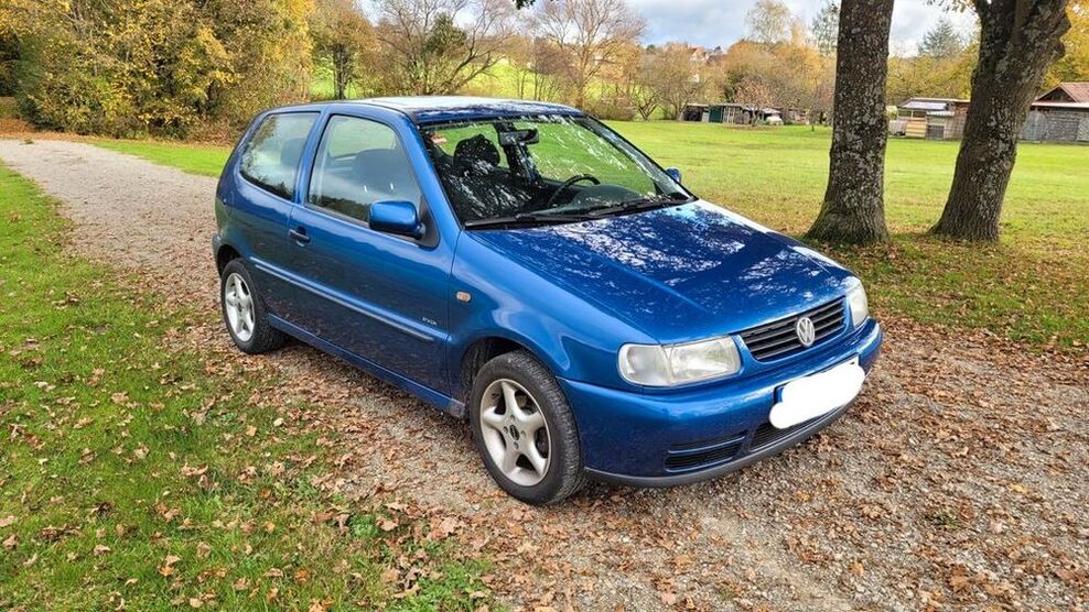 Polo
