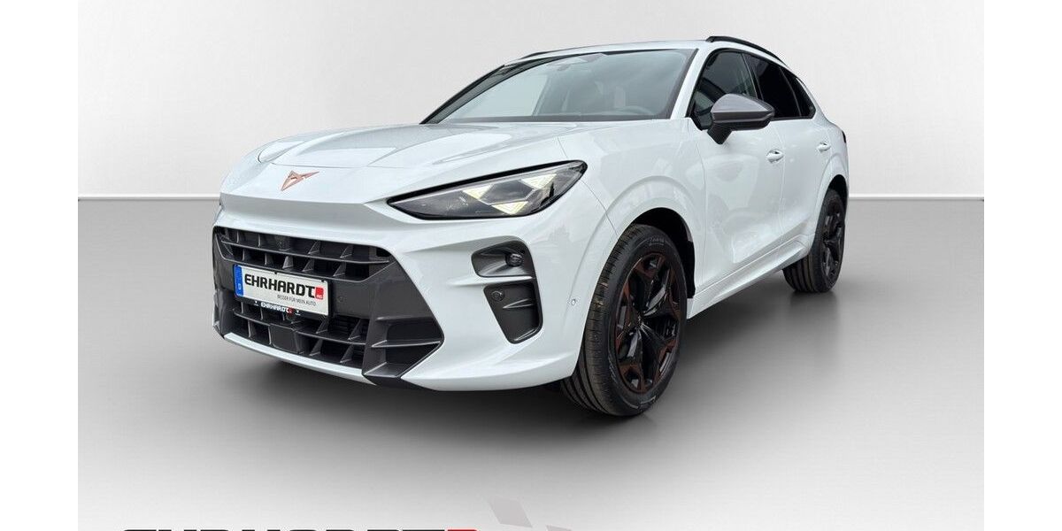 Cupra Terramar 2.500 km 40.950 &euro; Eisfeld 98673