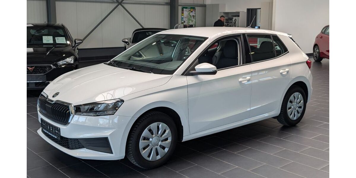 Skoda Fabia 68.000 km 13.900 &euro; Weinheim 69469