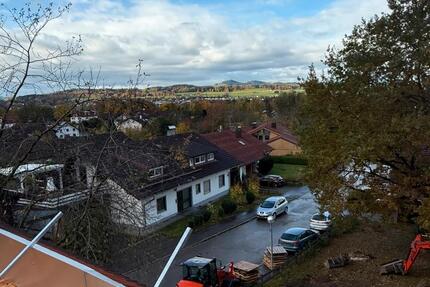 3 Zimmer Wohnung zimmer