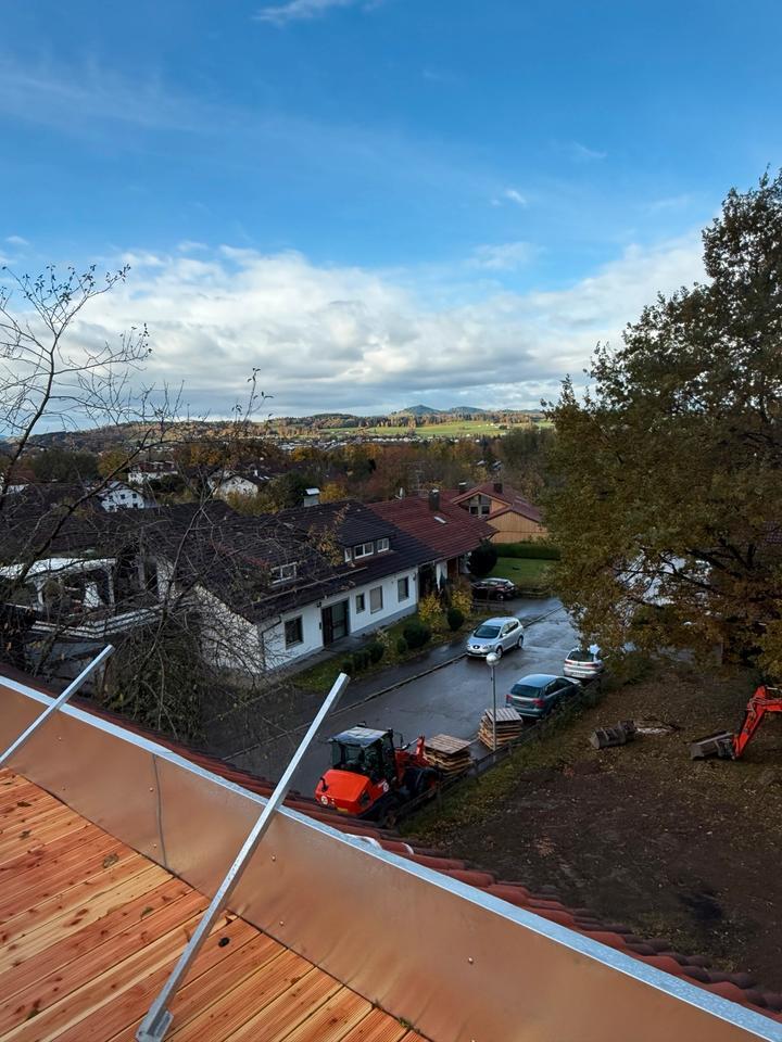 3 Zimmer Wohnung zimmer