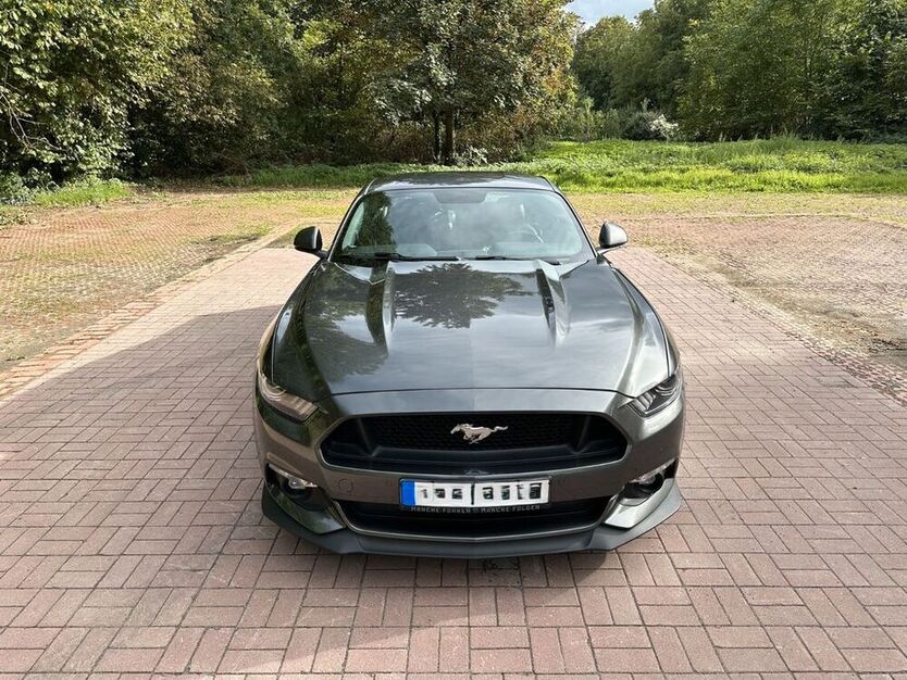 Mustang