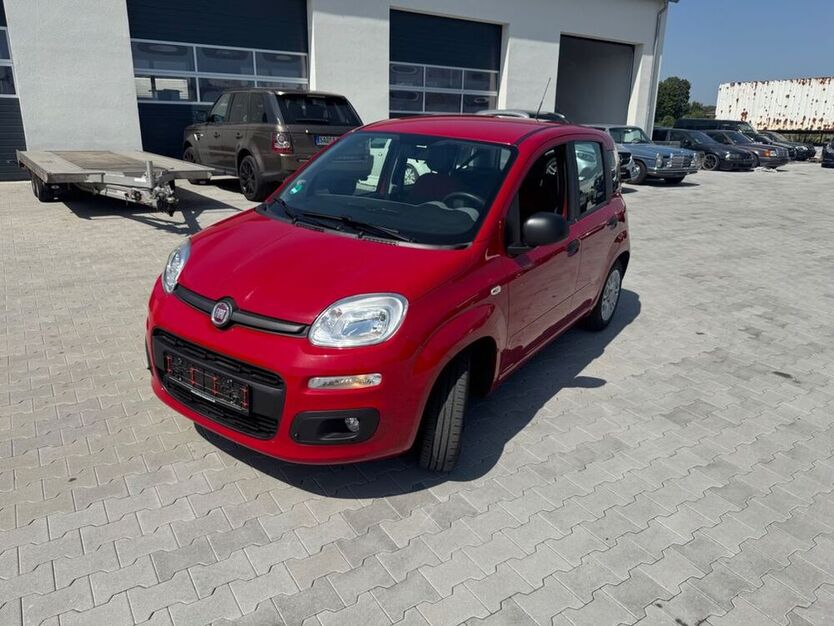 Panda