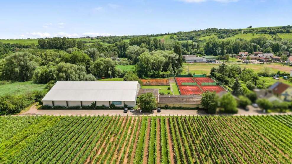 Grundstück zu verkaufen in Siebeldingen 1.450.000 € 12597 m²