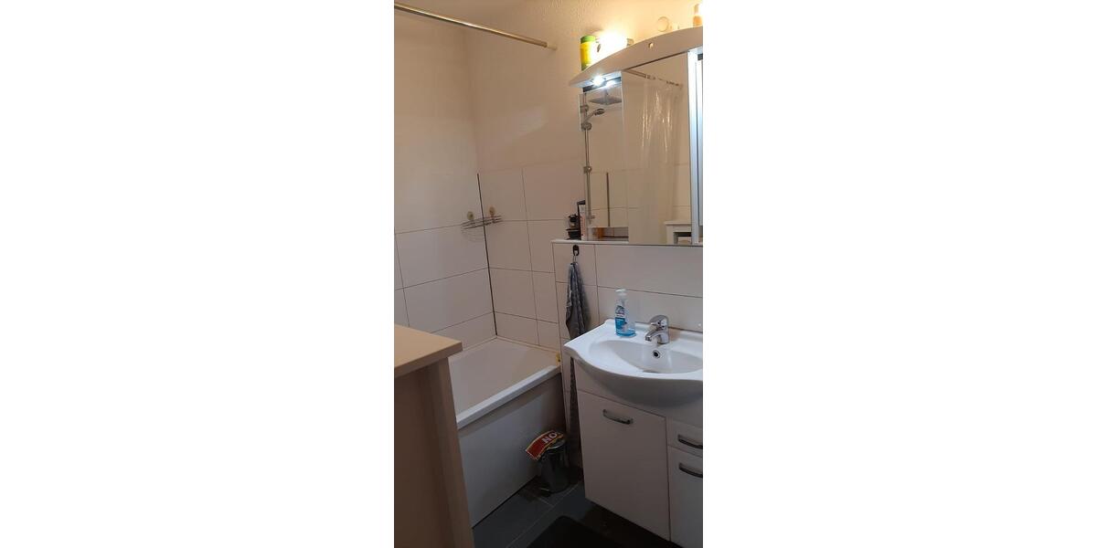 Dachgeschoßwohnung Frankenthal (Pfalz) - 2 Zimmer, 64 m&sup2;, 590&euro; | Angebot:26395673