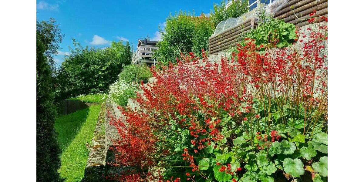 Einfamilienhaus Schotten - 8 Zimmer, 270 m&sup2;, 369.000&euro; | Angebot:24572823