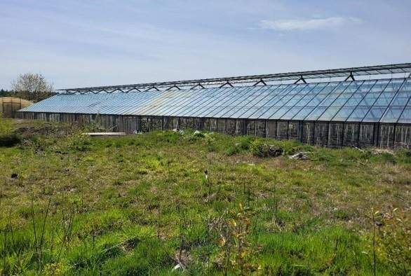 Grundstück Kirchlinteln Bendingbostel - 920.000&euro; | Angebot:25733737