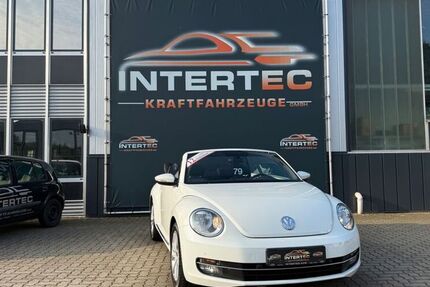 VW Beetle