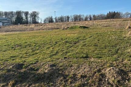 Grundstück Kaisersesch - 120&euro; | Angebot:24833102