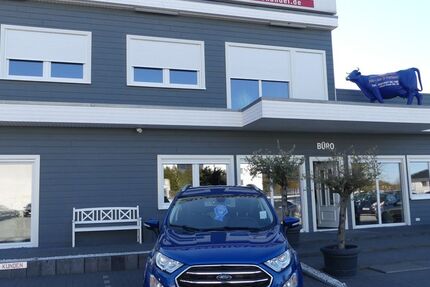 Ford EcoSport 55.000 km 13.900 &euro; Magdeburg 39108