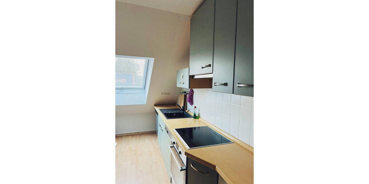 Mehrfamilienhaus, Wohnhaus Ellerstadt Akaziensiedlung - 1 Zimmer, 306 m&sup2;, 799.000&euro; | Angebot:25752232