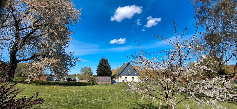 Einfamilienhaus Jördenstorf - 4 Zimmer, 105 m&sup2;, 259.000&euro; | Angebot:26803300