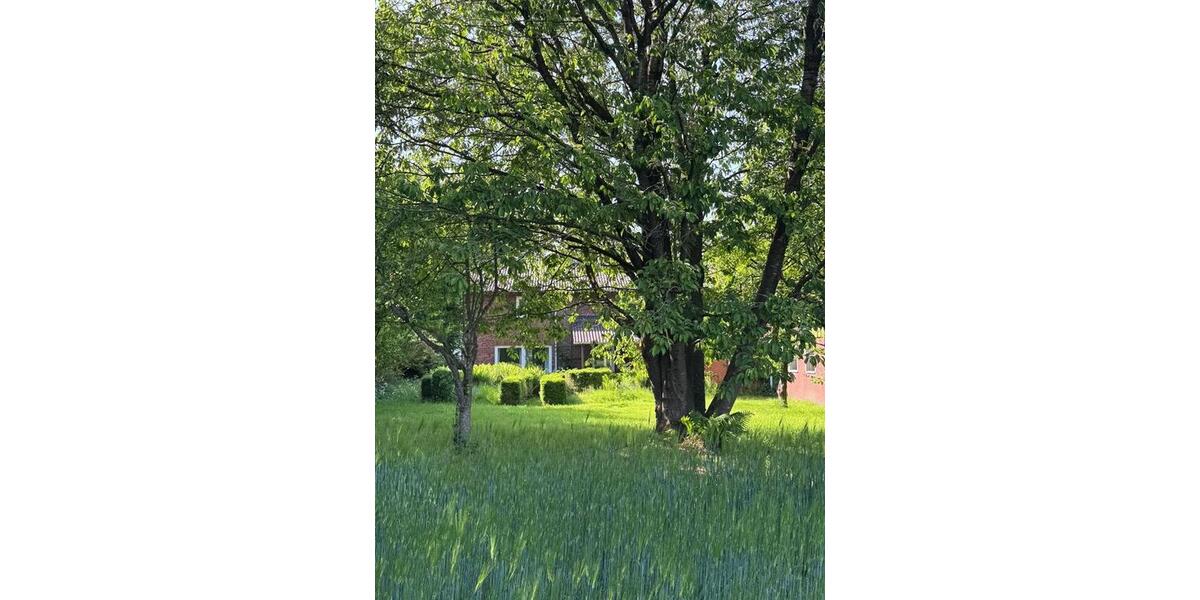 Bauernhaus, Landhaus Hanerau-Hademarschen Hademarschen - 5 Zimmer, 125 m&sup2;, 214.750&euro; | Angebot:26975083