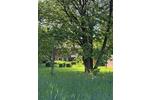 Bauernhaus, Landhaus Hanerau-Hademarschen Hademarschen - 5 Zimmer, 125 m&sup2;, 214.750&euro; | Angebot:26975083