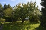 Mehrfamilienhaus, Wohnhaus Staufenberg - 11 Zimmer, 339 m&sup2;, 620.000&euro; | Angebot:26517187