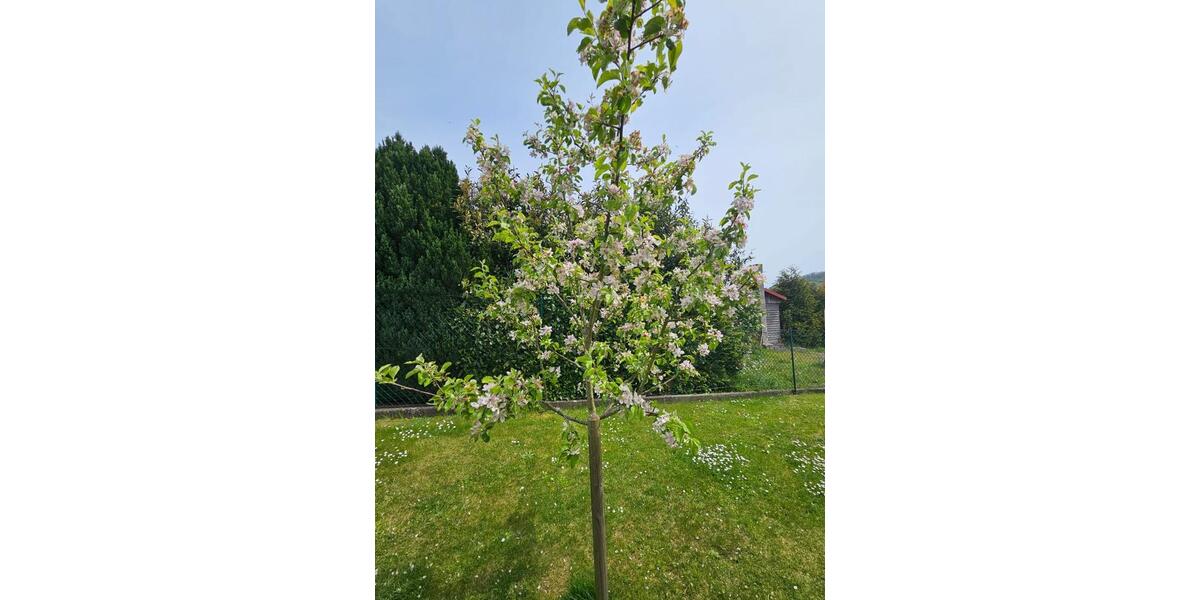 Gewerbeobjekt Oberleichtersbach - 1.800&euro; | Angebot:26700955