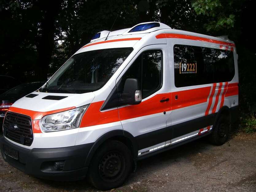 Transit Custom