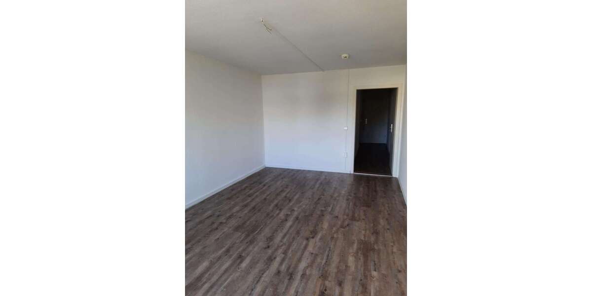 Wohnung zum Mieten in Dresden 310 € 37 m² 1 zimmer