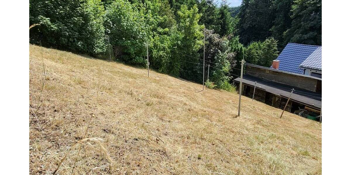 Einfamilienhaus Bannewitz - 5 Zimmer, 158 m&sup2;, 494.990&euro; | Angebot:25970329