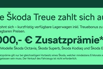 Skoda Octavia 9.999 km 40.480 &euro; Frankfurt 60435