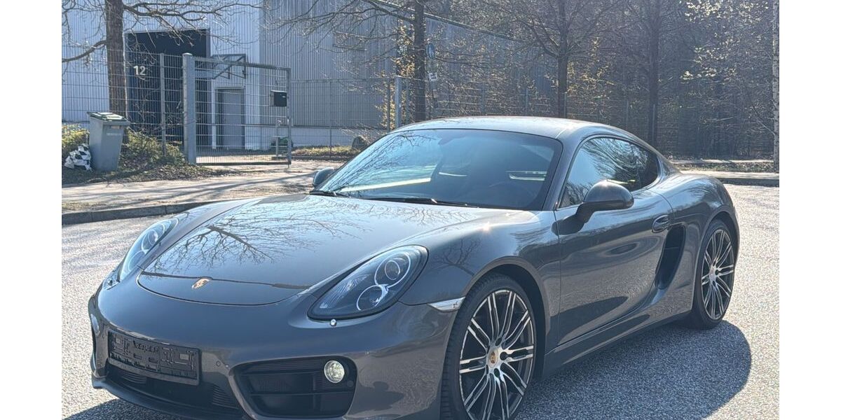 Porsche Cayman 100.000 km 43.445 &euro; Hamburg 22453