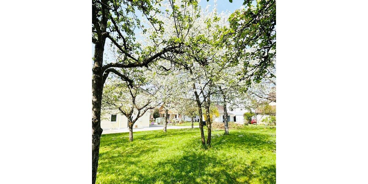 Grundstück Hilzingen - 210.000&euro; | Angebot:26276260