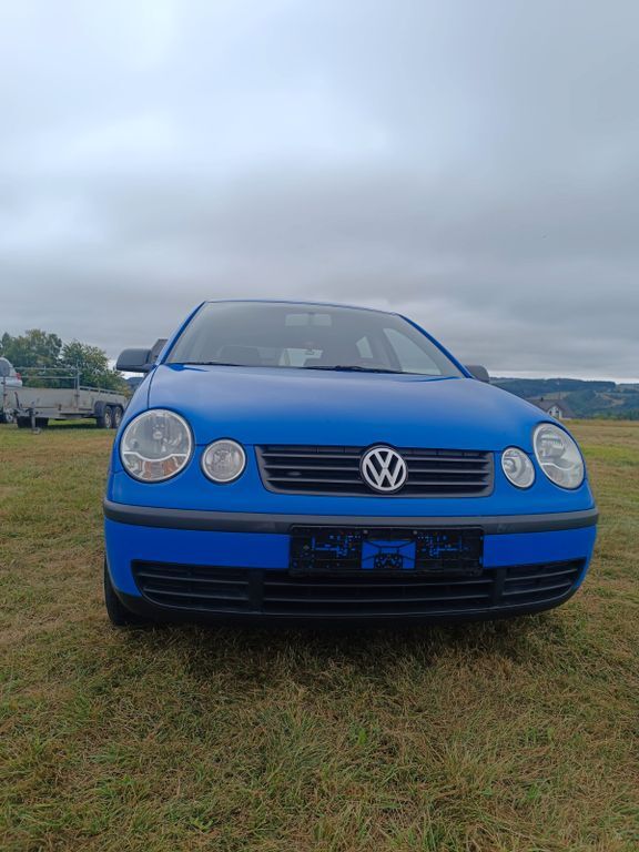 Polo