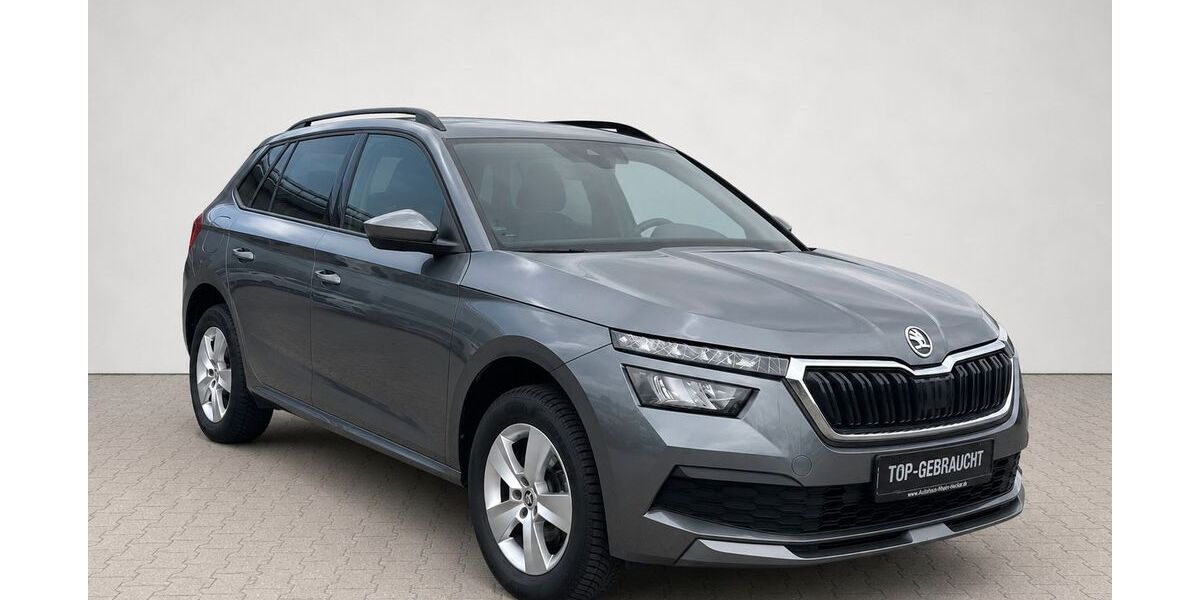 Skoda Kamiq 112.000 km 16.490 &euro; Hockenheim 68766