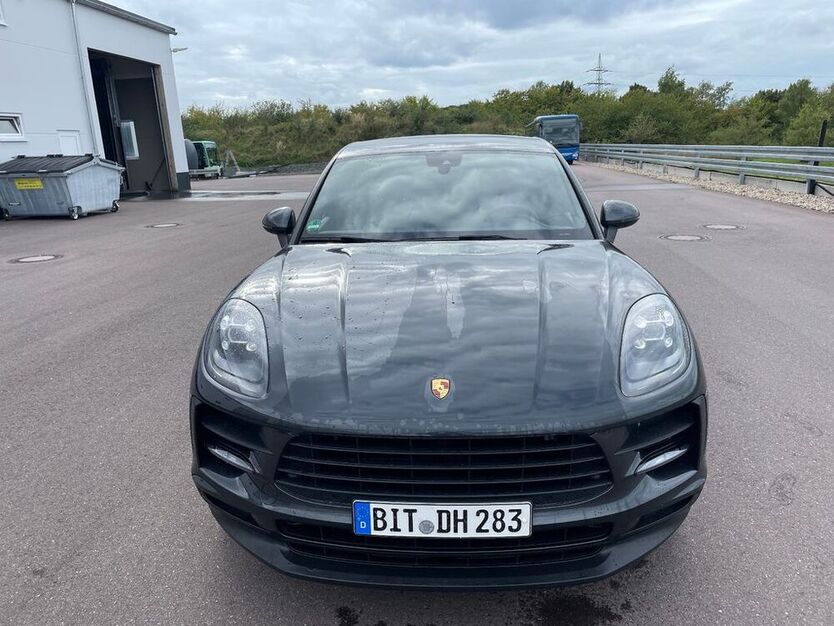 Macan