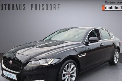 Jaguar XF 60.000 km 17.950 &euro; Prisdorf bei Hamburg 25497