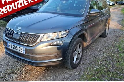 Skoda Kodiaq 256.532 km 13.685 &euro; Achern 77855