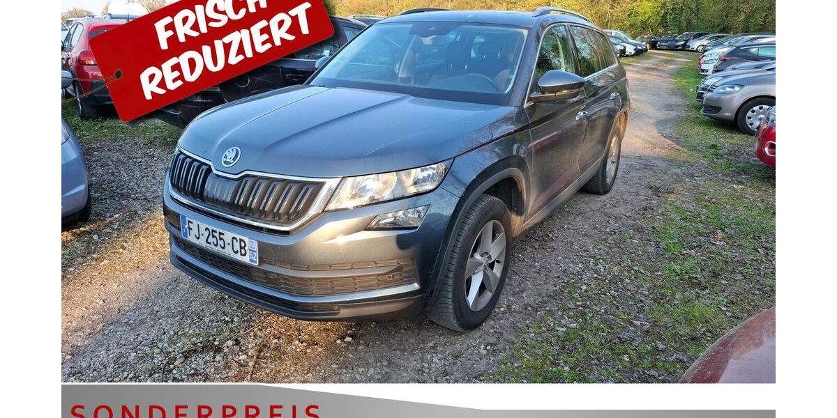 Skoda Kodiaq 256.532 km 13.685 &euro; Achern 77855
