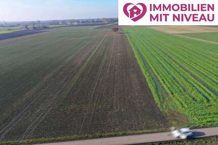 Grundstück Lauingen - 136.000&euro; | Angebot:23773545