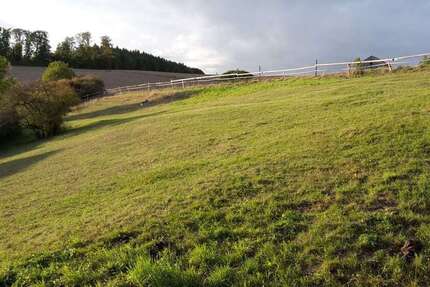 Grundstück Willebadessen - 80.000&euro; | Angebot:23509380