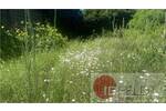 Reihenmittelhaus Leegebruch - 3 Zimmer, 92 m&sup2;, 141.000&euro; | Angebot:26816481