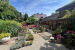 Gewerbeobjekt Idar-Oberstein Oberstein - 4 Zimmer, 350 m&sup2;, 698.000&euro; | Angebot:25741718