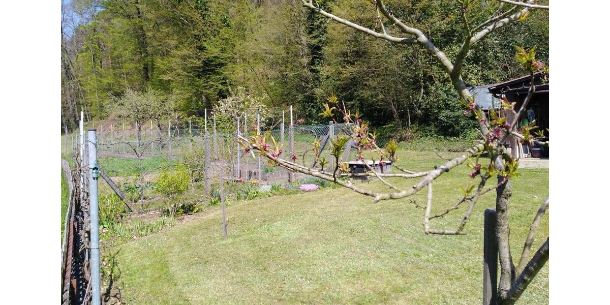 Mehrfamilienhaus mit großem Grundstück zimmer